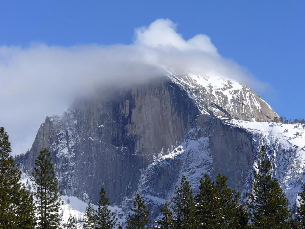Yosemite Sierra View Bed & Breakfast Оукхърст Екстериор снимка